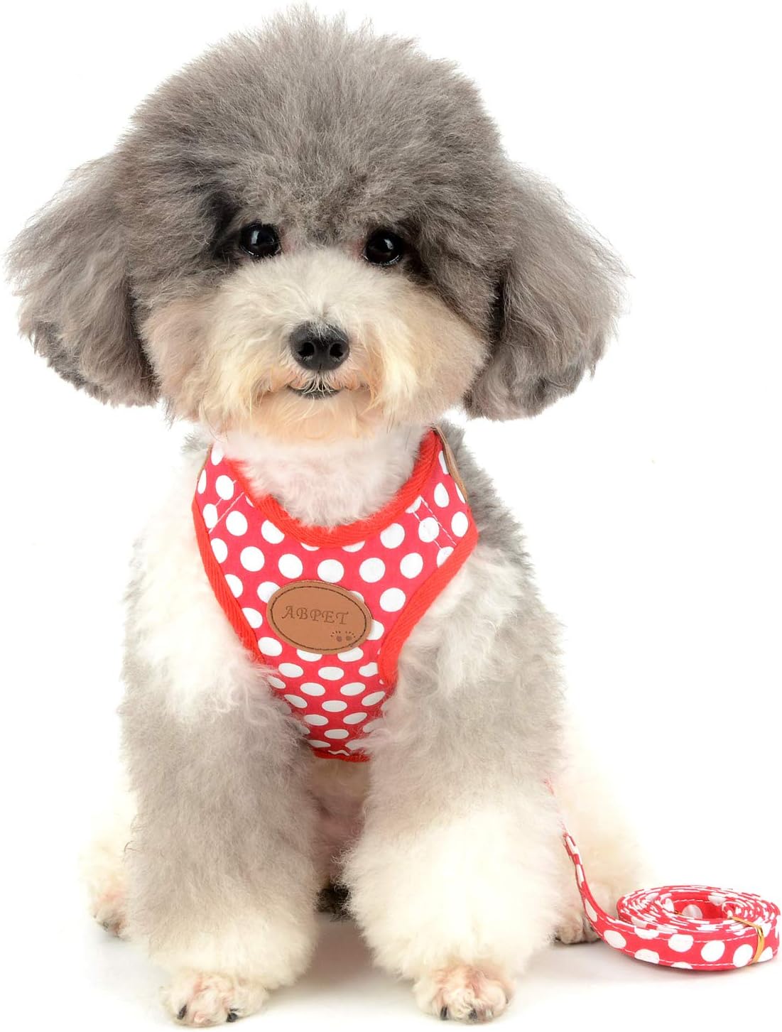 SMALLLEE_LUCKY_STORE New Soft Mesh Nylon Vest Pet Cat Small Medium Dog Harness Dog Leash Set Leads Red - Image 4