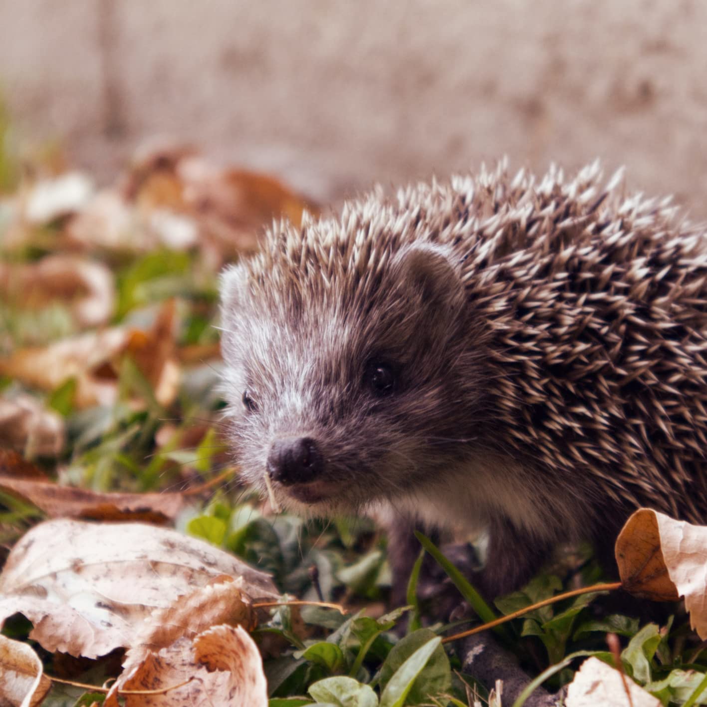 View 7
