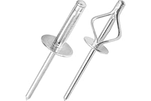 JIANDAXIN 50Pcs Tri-Fold Aluminum Blind Rivets,Tri Grip Exploding Assortment Bulb Style Pop Rivets for Automotive, Soft or Plastic Materials (Silver, 3/16"x1" Large Head 5/8")