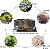 Lucky Farm 14W Reptile Heat Mat 28x28cm UK Plug Vivarium Warmer Pad view 2