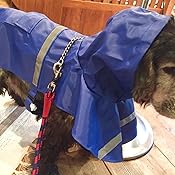 カスタマー画像