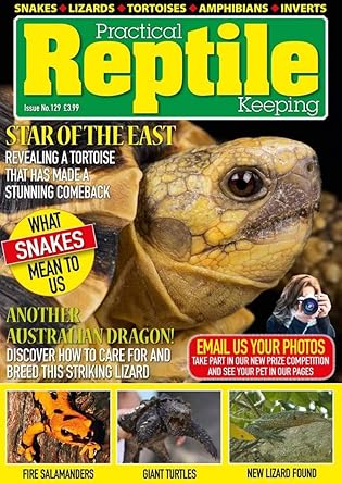 reptile keeping