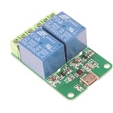 NOYITO HID Drive-Free USB Computer Control Switch Relay Module USB Smart Switch Control Plug and Play (2-Channel Micro-USB)