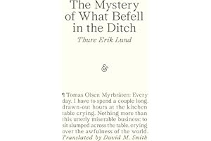 The Mystery of What Befell in the Ditch