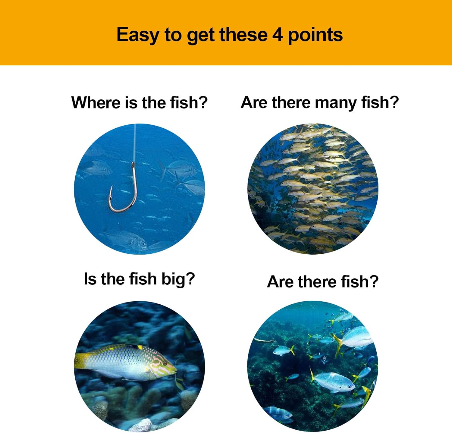 Handheld Fish Finder Portable Fishing Kayak Fishfinder Fish Depth Finder Fishing Gear with Sonar Transducer and LCD Display: Sports & Outdoors