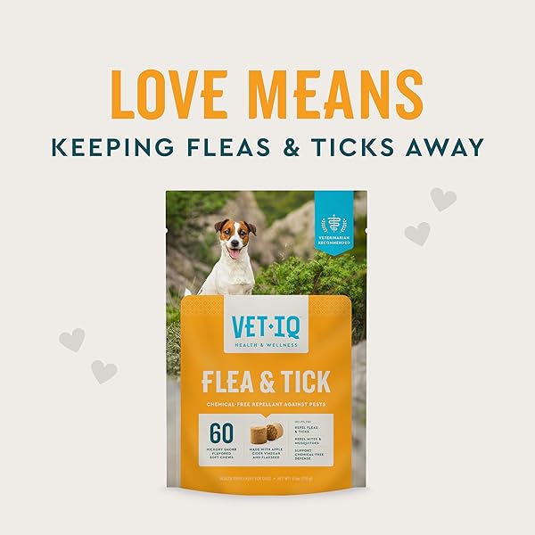 VETIQ FLEA & TICK SUPPORT FOR DOGS, FLEA AND TICK CHEWABLE, SUPPORTS DOG’S NATURAL FLEA DEFENSES, FREE OF ADDED CHEMICALS AND GARLIC, HICKORY SMOKE FLAVOR, 60 COUNT