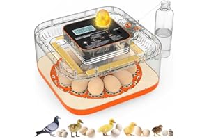 SYLVANSPARKKITCHEN XISEUJV Incubators for Hatching Eggs 12 Egg Digital Egg Incubator Precision Auto Temp Humidity Control 6 Gear Adjustable Auto Turner Auto Stop Turning Hatching Days Display for Chicken Duck Goose Eggs