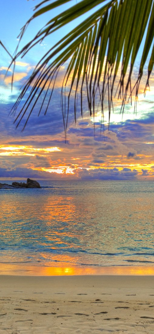 PeelitStickit, Paradise Vacations Wall Murals, ID-006, vinyl