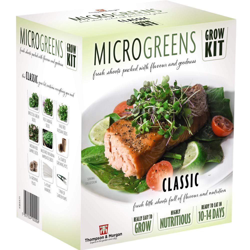 Microgreens Classic Seed Grow Kit Hardy Annual Seeds Easy to Grow Your Own at Home 1 x Seed Grow Kit by Thompson and Morgan