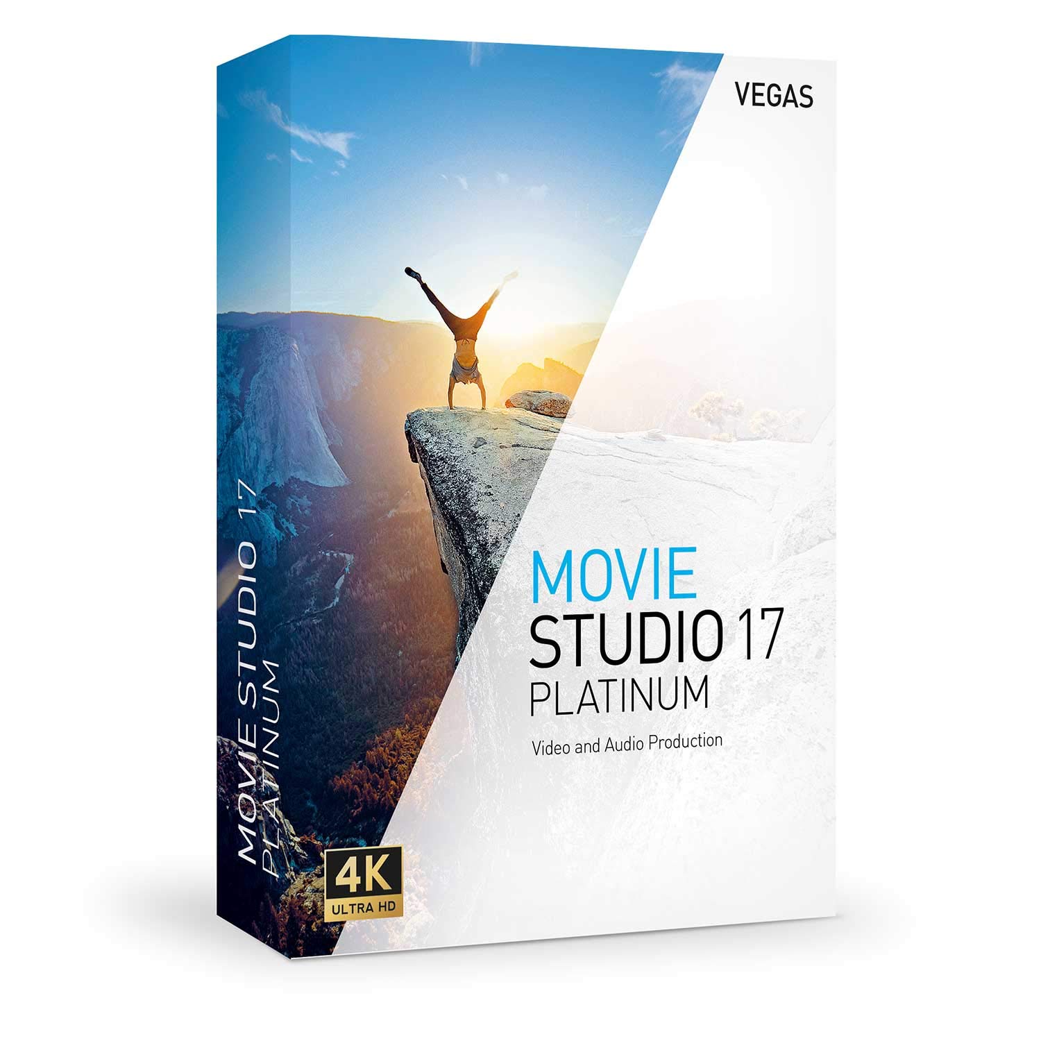 VEGAS Movie Studio Platinum|17|1 PC|Perpetual License|PC|Download