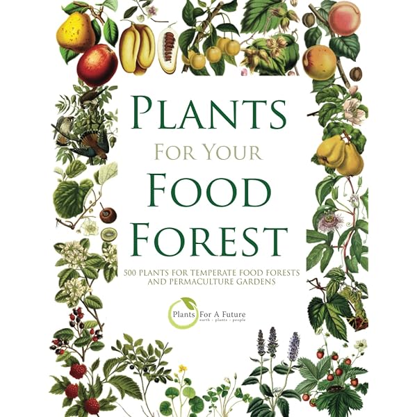 Food Forest Plants for Mediterranean Conditions: 350+ Perennial Plants For  Mediterranean and Drier Food Forests and Permaculture Gardens: Pemberton,  Trevor, Future, Plants For A: 9781068292200: Amazon.com: Books
