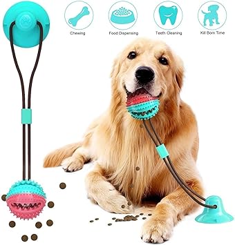cover the hexagon dog toothbrush