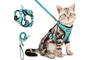 PetBonus Adjustable Cat Harness and Leash, Escape Proof Breathable Pet Vest Harnesses for Walking, Easy Control Reflective Leash and Harness Set Jacket for Cats, Kitten, Kitty (Turquoise, Small)