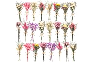 WGXX 12/24 Pack Dried Flowers for Vase Various Mini Bouquet Dried Small Wildflowers Natural Real Flowers Bulk for Crafts DIY Wedding Decor (24, Multicolor)