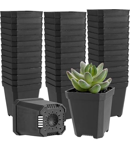2 Pots De Fleurs Carrés Respirants Noirs - 10 Cm, Plastique Résistant, Avec Trous De Drainage, Pour Intérieur/extérieur