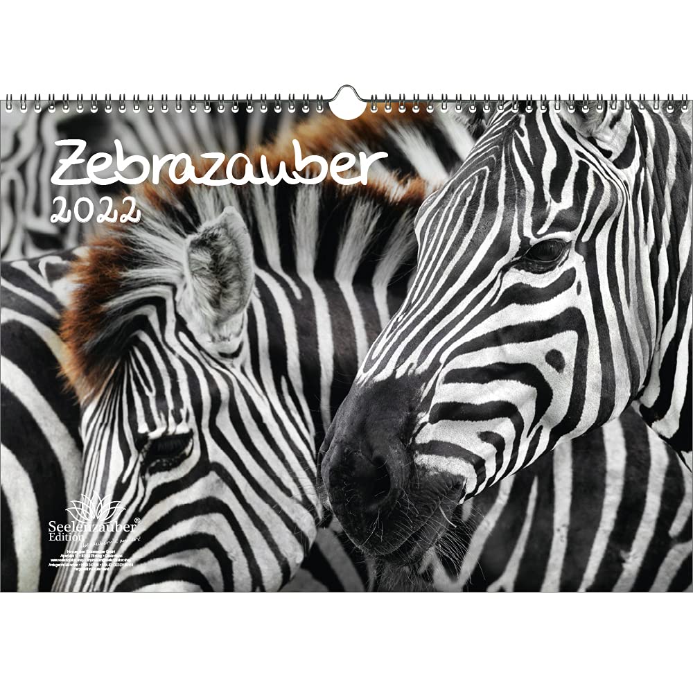 Zebra Magic DIN A3 Calendar for 2022 Zebra Seelenzauber