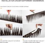 OFFO Bird Spikes High 10cm Pigeon Deterrent 12m Brown view 5