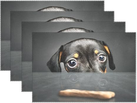 Amazon Wozoヒップスターダックスフンド子犬犬プレースマットテーブルマット 犬12 X 18 ポリエステルテーブルplace Mat Forキッチンダイニングルーム Package Quantity 4 ランチョンマット オンライン通販 Amazon Wozoヒップスターダックスフンド子犬犬プレースマットテーブルマット 犬12 X 18 ポリエステルテーブルplace Mat Forキッチンダイニングルーム Package Quantity 4 ランチョンマット オンライン通販