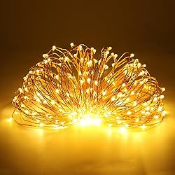 ErChen Dual-Color LED String Lights, 165 FT 500