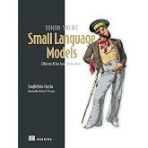 Domain-Specific Small Language Models: Efficient AI for local deployment