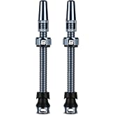 BWSHLF Tubeless Presta Valve Stem 42/48/55/65/85 mm, Super Light Aluminum Alloy Presta Valve Stem Kit with Core Remover Caps for Road Bike, MTB, Multiple Color and Size Options (Pair)