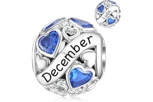 DALARAN Birthstone Charms for Charms Bracelet 925 Sterling Silver Heart Bead Happy Birthday Charms for Women