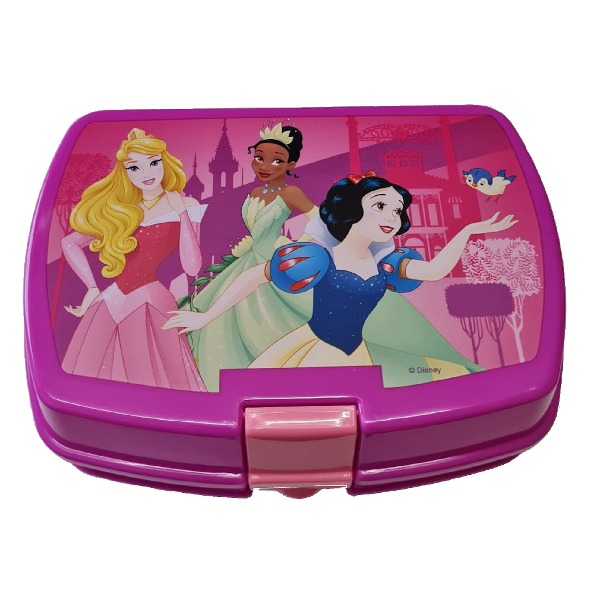 Sandwich Snack Box for School Nursing Travelling (Disney Princess)