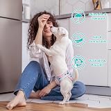 Heyu-Lotus Reusable Dog Nappies 3 Pack Female Washable Period Pants S/M 30-48cm view 6