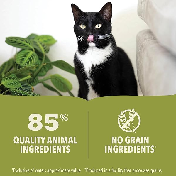 ACANA PREMIUM PATE KITTEN WET CAT FOOD IN BONE BROTH CHICKEN + TUNA RECIPE 3OZ CANS (24 COUNT)