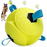 HGB Dog Ball Toys, Interactive Dog Soccer Ball with