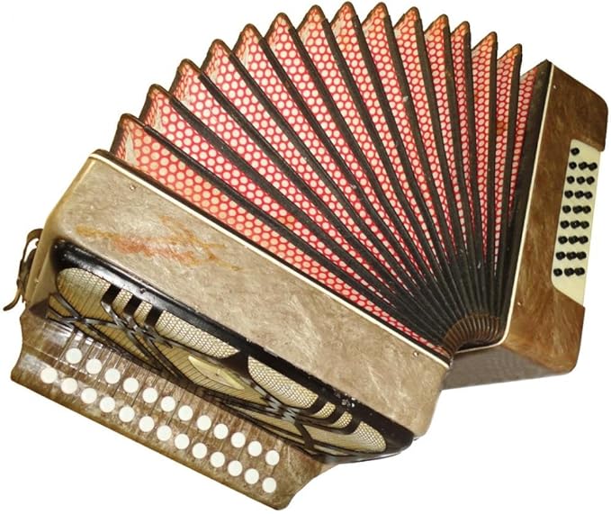 Russian Folk Old Garmon Button Accordion Bayan Chayka / Чайка, 25 x 25