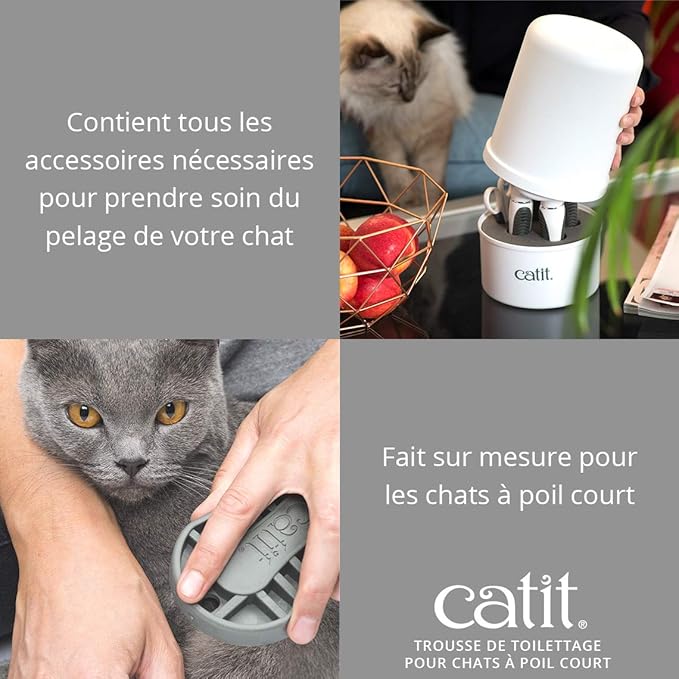 Cat It Kit De Toilettage Pour Chats A Poils Courts Amazon Fr Animalerie