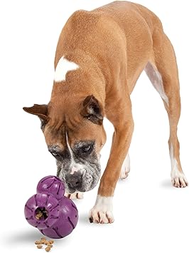 Pet Supplies Pet Toy Balls Petsafe Busy Buddy Barnacle Dog