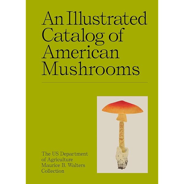 The Complete Encyclopedia of Mushrooms: Keizer, Gerrit J