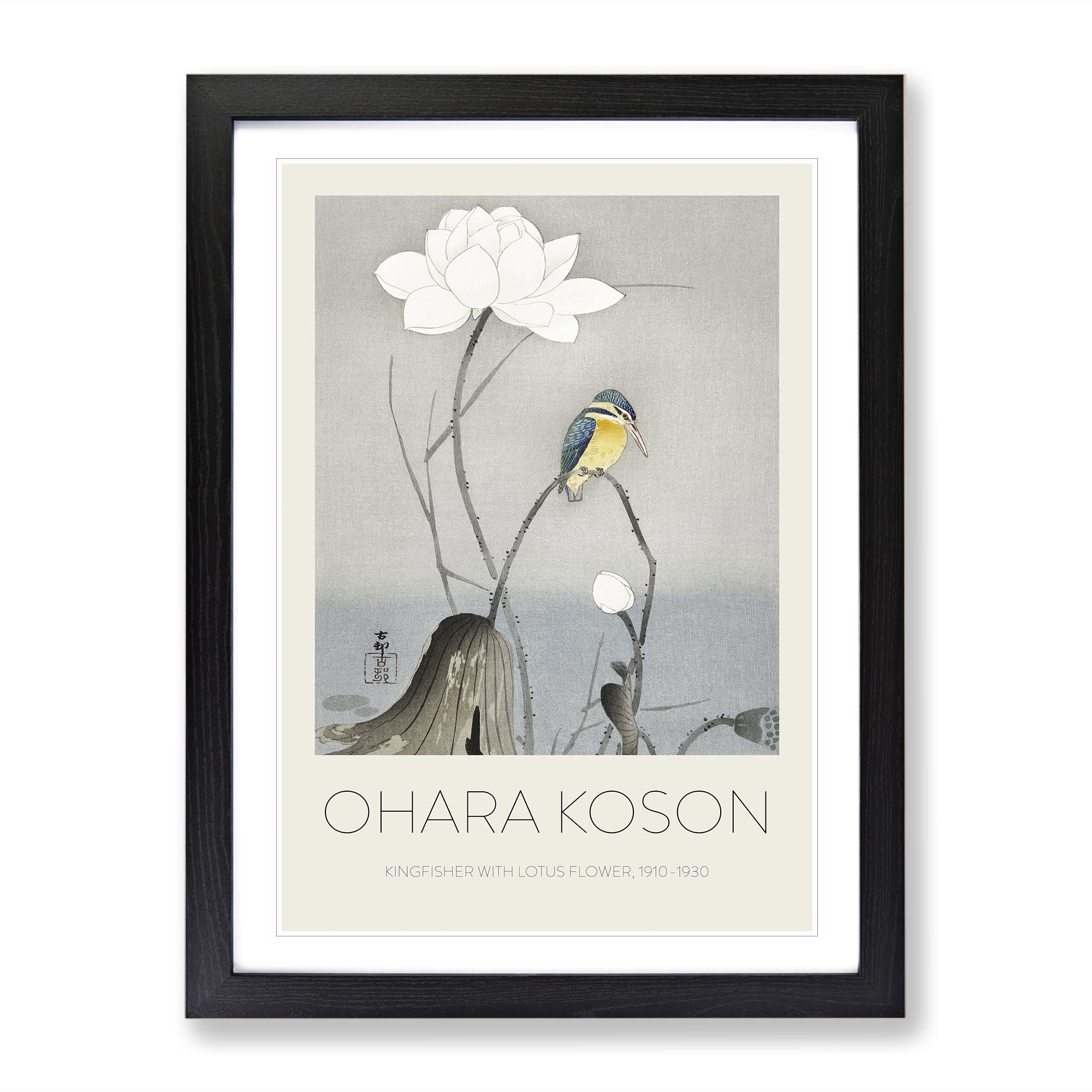 Kingfisher With Lotus Flower By Ohara Koson Exhibition Museum Asian Japanese Framed Wall Art Print, Ready to Hang Picture for Living Room Bedroom Home Office Décor, Black A4 (34 x 25 cm)