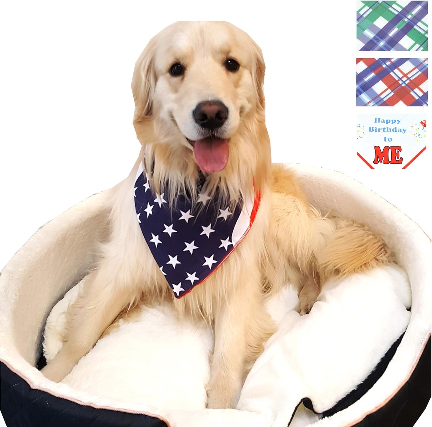 pet wholesale near me