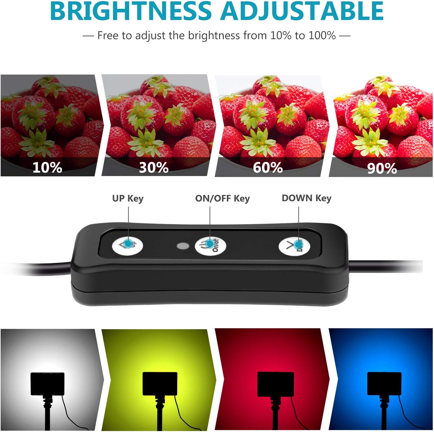 Neewer 2 Packs Portable Photography Lighting Kit Dimmable 5600K USB 66 LED Video Light with Mini Adjustable Tripod Stand and Color Filters for Table Top/Low Angle Photo Video Studio Shooting : Camera & Photo