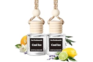 Burst Bird Car Air Freshener Hanging, Cool Ice Fragrance Oil Air Diffuser for Car, Long Lasting Car Air Fresheners, Made in USA (2 Pack)