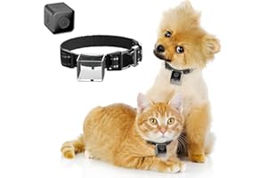 KinetCam Cat Camera Collar,No APP No WiFi Needed Cordless Cat Collar Camera with Video Record, Collar for Dogs/Big Cats,Pet Collar Camera Outdoor,Camera for Cat Collar(NO SD Card Included) (XS)