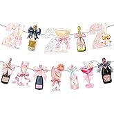 21st Birthday Decorations Champagne Wine and other Drinks Bottles and Glasses Banner Happy 21st Birthday Decorations for Her
