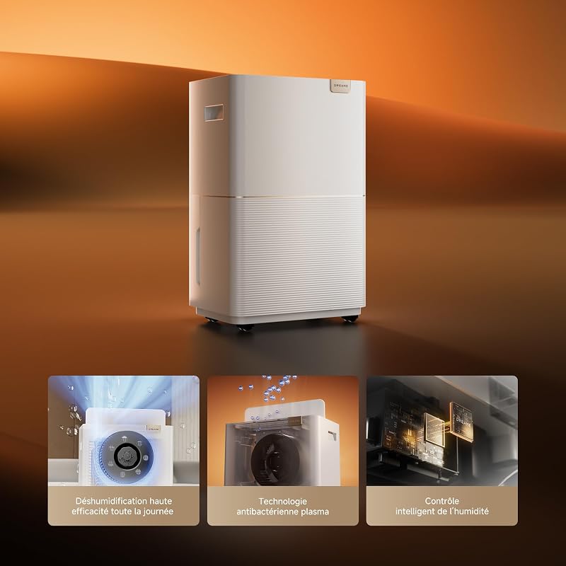 DD20 Déshumidificateur, déshumidification haute efficacité 20 L/jour