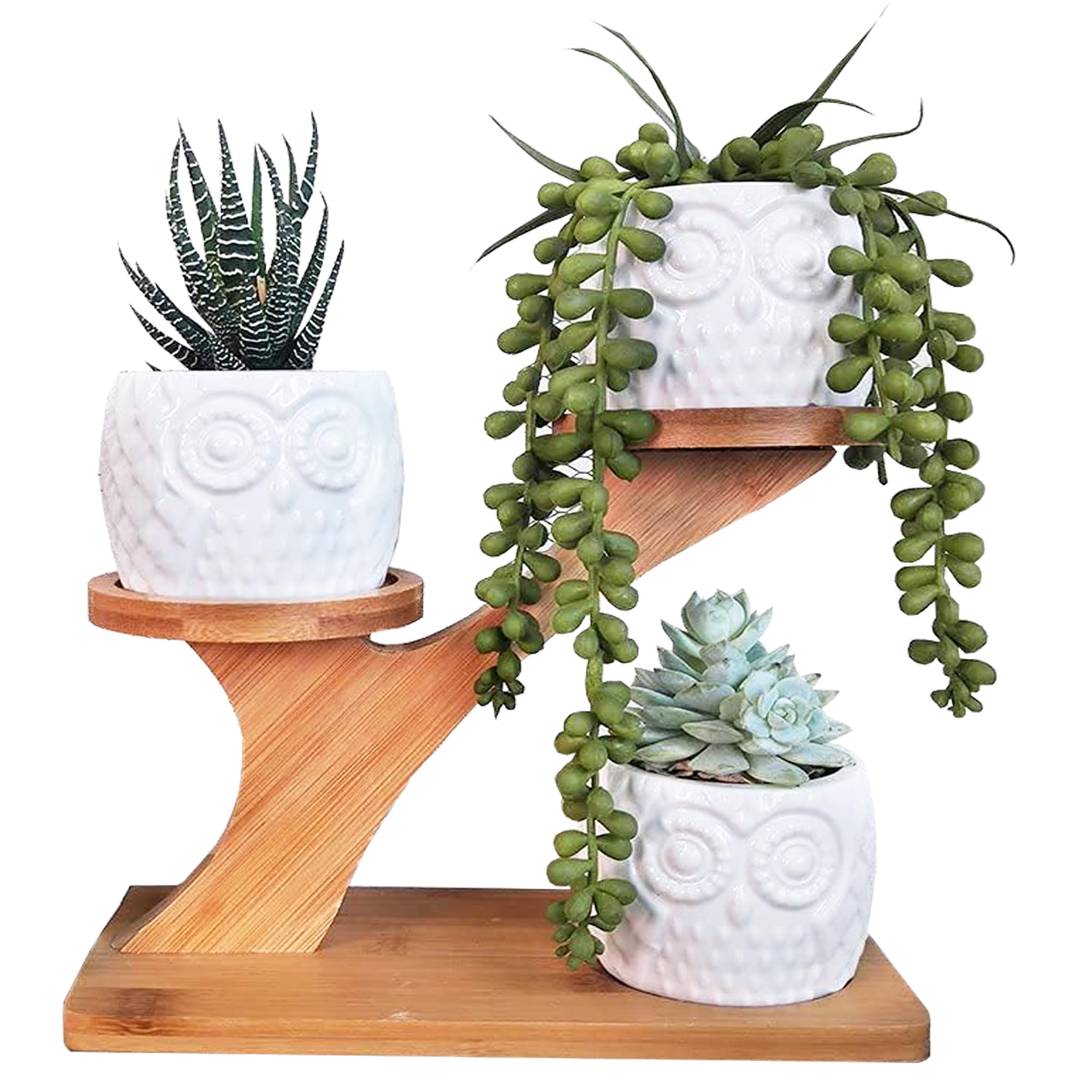 MINGZE 3 Pack Owl Succulent Ceramic Plant Pots for Home Office Desk (With Wooden Stand), Succulent Combination Potted Flower Pot, Succulent Ceramic Pot