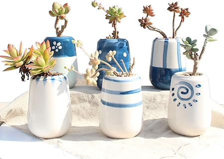 Amazon Com Ordso 3x5 Inch Small Succulent Plants Mini Ceramic
