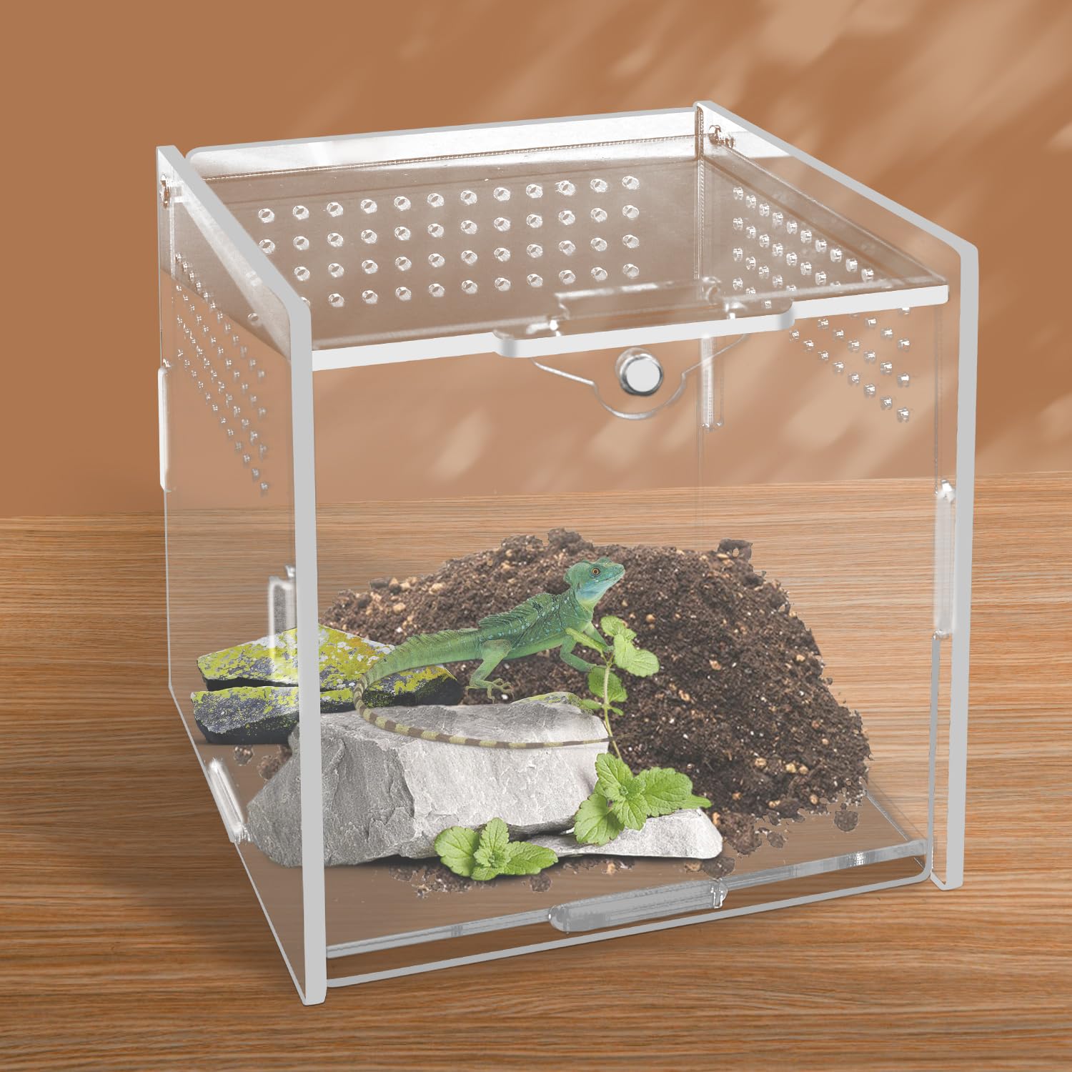 Unvtap Jumping Spider Enclosure Tarantula Faunarium Acrylic Reptile Terrariums, Reptile Feeding Box, Insect Feeding Box with air Holes for Snails, Geckos, Mantises, Lizards, Spider, Vivarium 10x10 cm