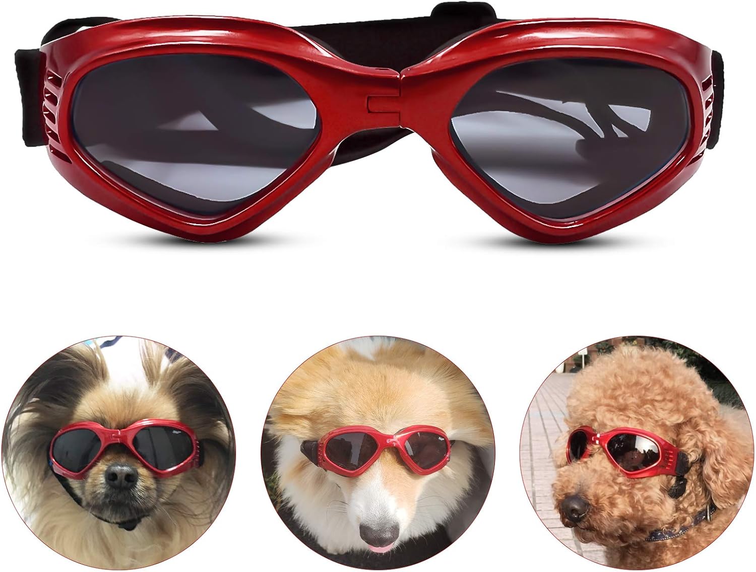 red dog sunglasses