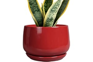 G EPGardening Ceramic Planter 7 Inch - Flower Pots for Indoor Plants, Round Planter with Drainage and Ceramic Tray, Modern Plant Pot, Bathroom Decor, Teacher Gifts, Red