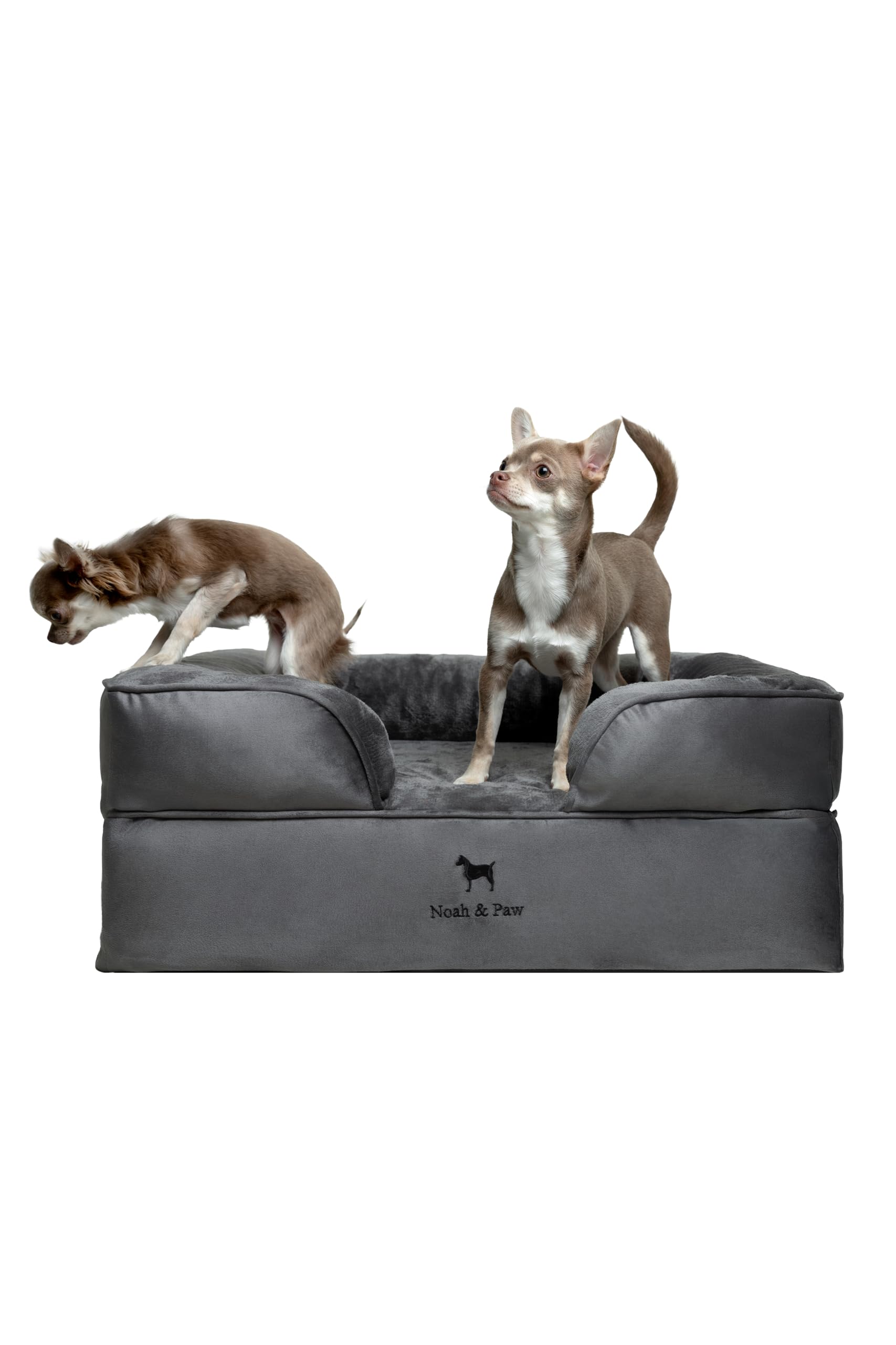 noah & paw giant dog bed xxl, 55x45x11 inch, orthopedic dog beds, eggshell memory foam infused with 