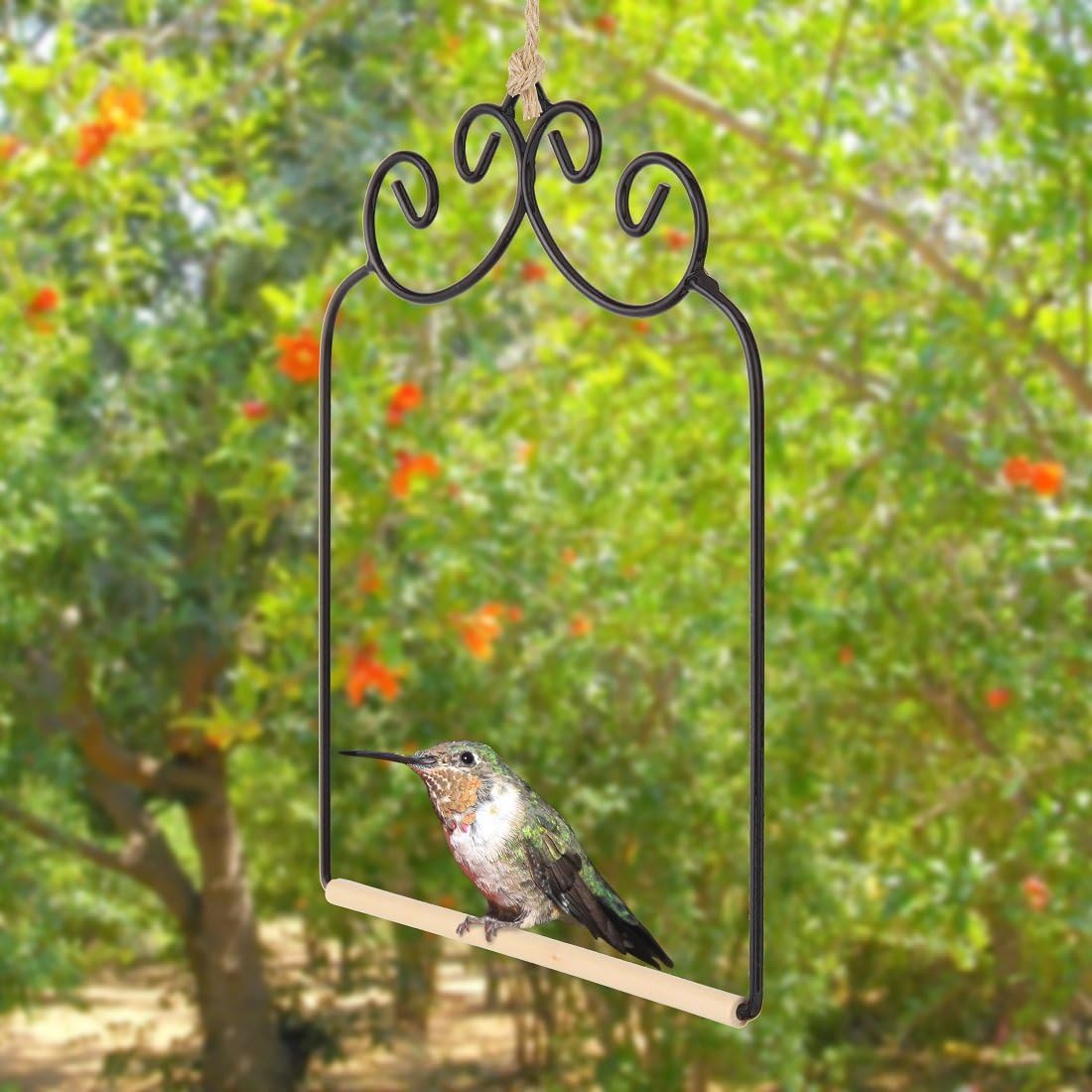 HomeX Hummingbird Swing. Metal Frame Hummingbird Swing with Wooden