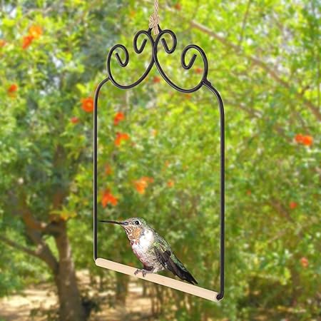 Amazon Com Home X Hummingbird Swing Metal Frame Hummingbird