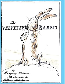 libro el conejo de felpa